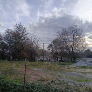 Terreno venda Sequeiró Santo Tirso