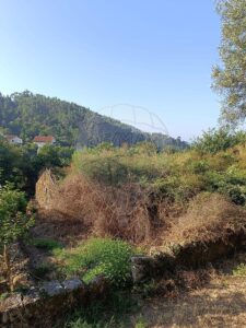 Terreno Venda Vila Verde