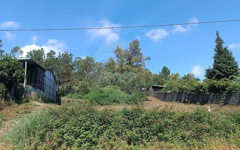 Terreno VNG
